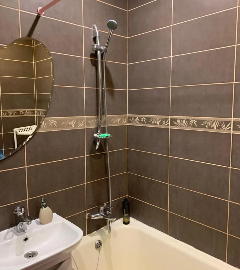 Апартаменты Apartament On Chernihivska Киев Украина